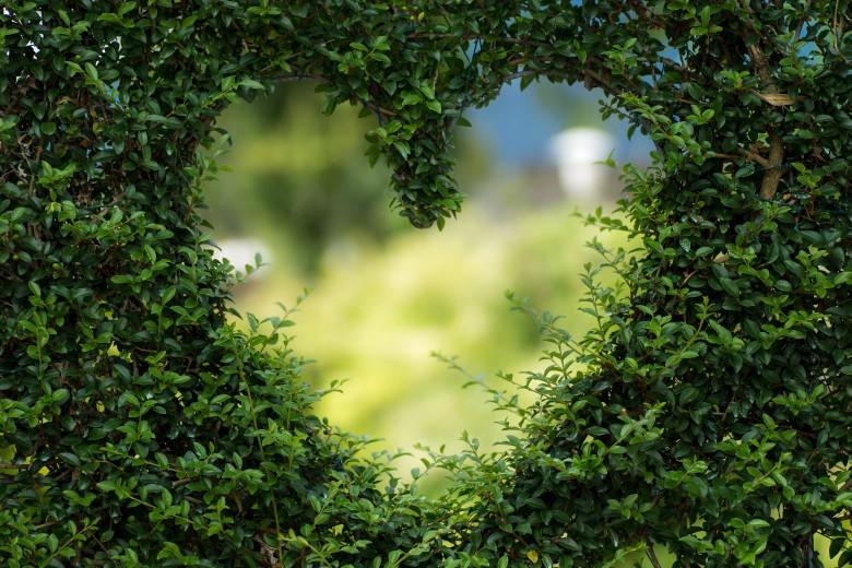 le-printemps-est-de-retour-et-avec-lui-son-lot-de-travaux-de-jardinage