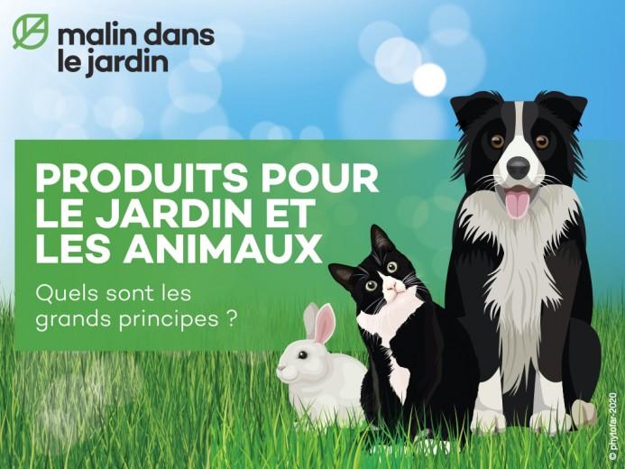 comment-proteger-vos-animaux-domestiques-quand-vous-utilisez-des-produits-dans-votre-jardin