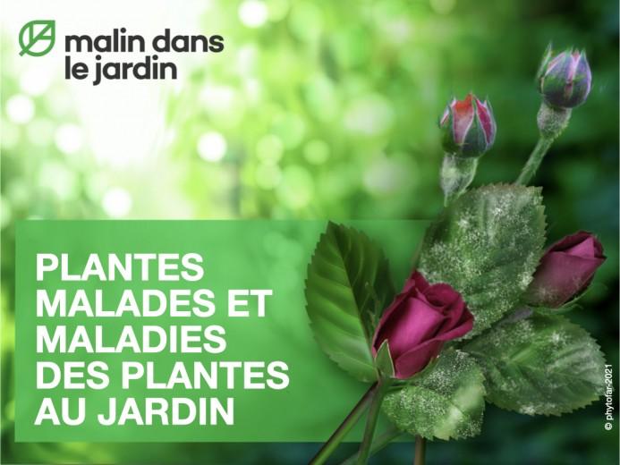 regardez-la-nouvelle-video-sur-les-plantes-malades-et-les-maladies-des-plantes-dans-le-jardin-et-suivez-phytofar-sur-youtube