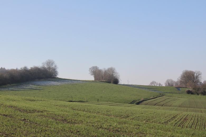 position-de-phytofar-concernant-lexposition-de-la-population-wallonne-aux-substances-chimiques