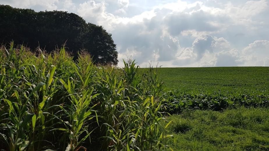 votre-opinion-concernant-les-produits-de-protection-des-plantes