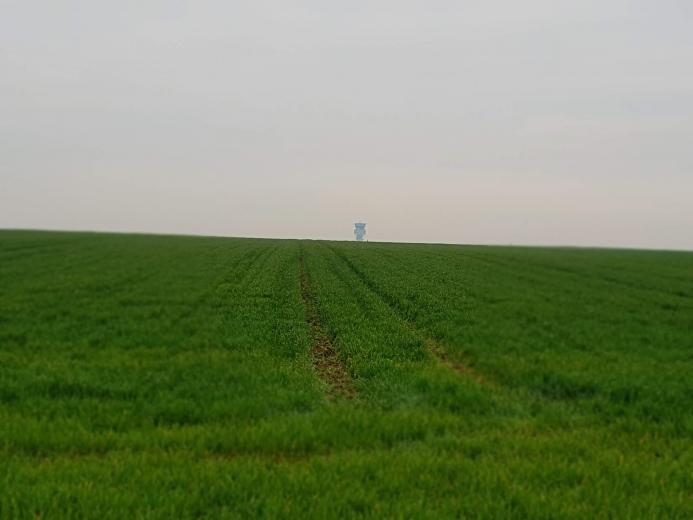 dans-le-top-europeen-la-belgique-a-diminue-de-35-lutilisation-des-produits-de-protection-des-plantes-depuis-2019