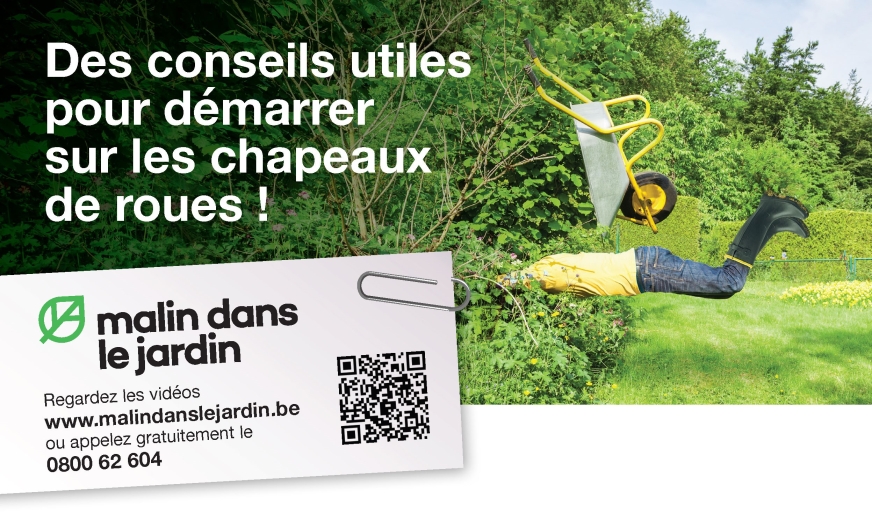 revoila-le-printemps--demarrez-sur-les-chapeaux-de-roues-dans-votre-jardin