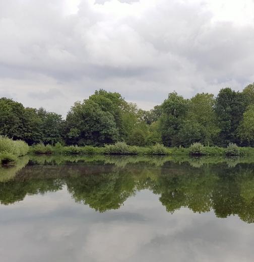 gouvernement-et-industrie-approche-conjointe-pour-remedier-aux-depassements-de-produits-de-protection-des-plantes-dans-les-eaux-de-surface-en-belgique