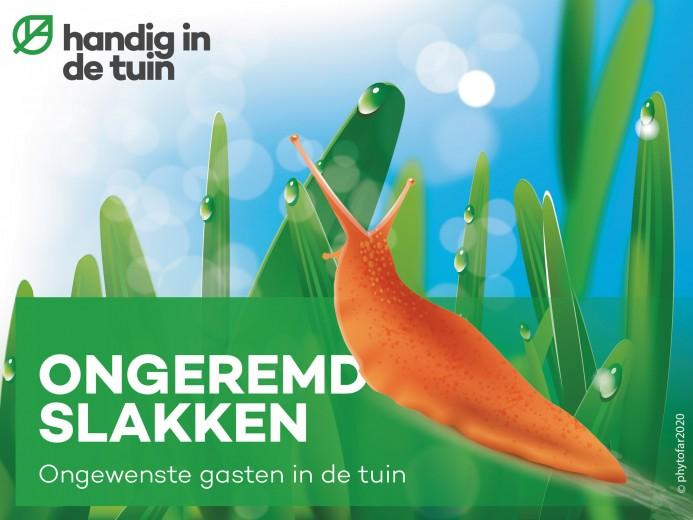 handig-in-de-tuin-handige-filmpjes-om-je-tuin-te-beschermen-tegen-slakken