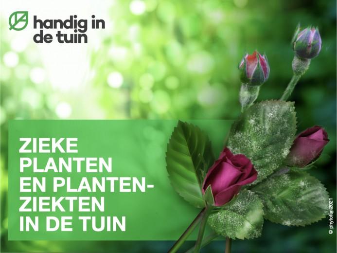 bekijk-het-nieuwe-filmpje-over-zieke-planten-en-plantenziekten-in-de-tuin-en-volg-phytofar-op-youtube