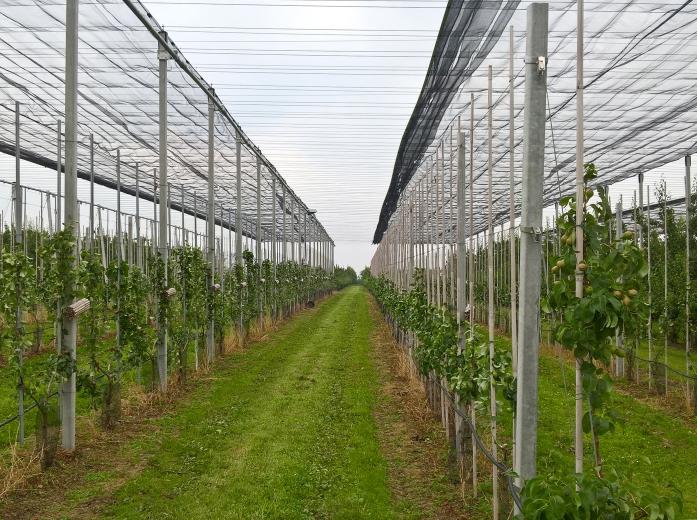 nieuwe-maatregelen-rond-ipm