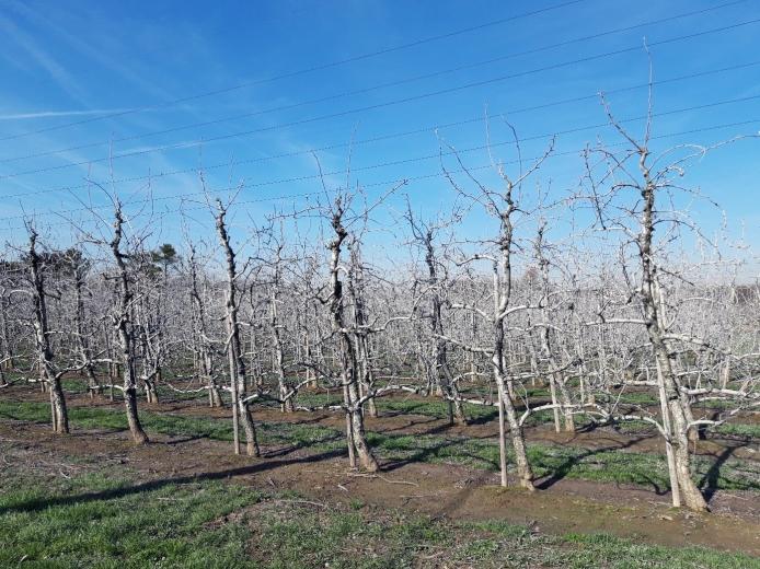 de-verkoop-van-natuurlijke-gewasbeschermingsmiddelen-in-belgie-11-17