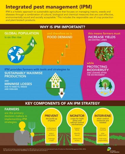 ipm-infographic