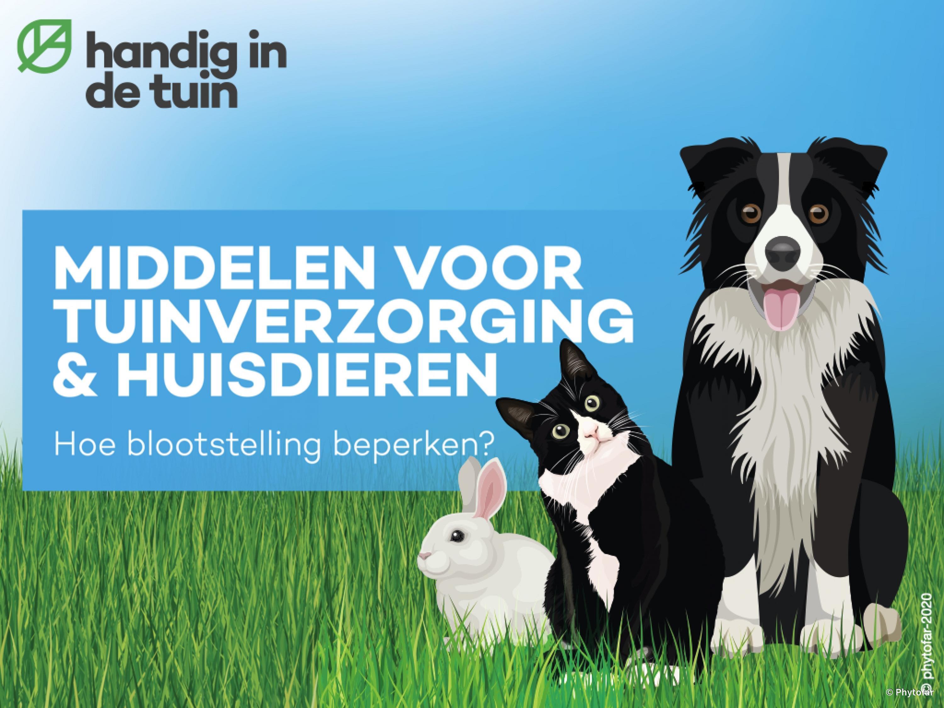 huisdieren-blootstelling-beperken