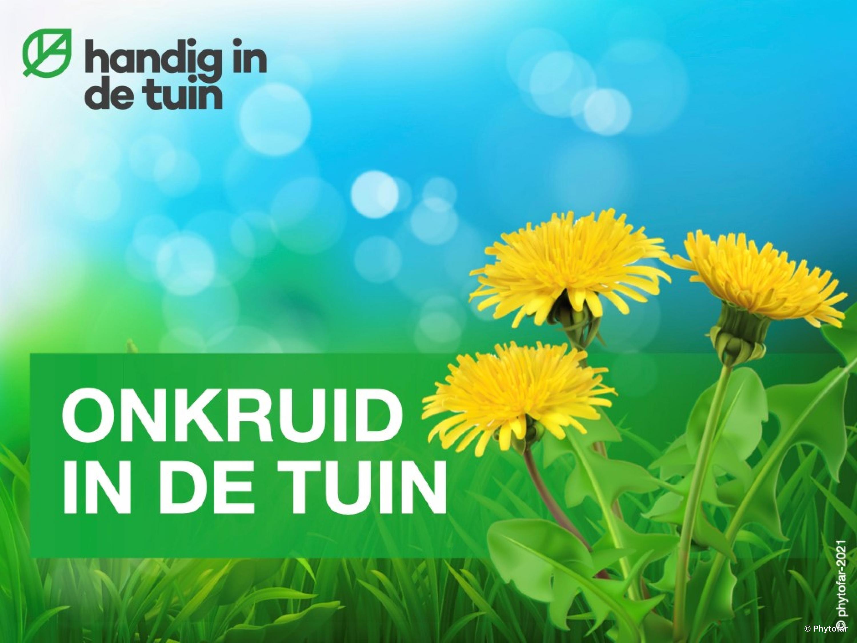 onkruid-in-de-tuin