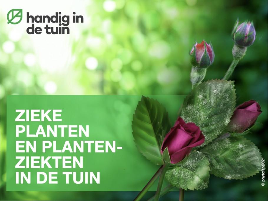 bekijk-het-nieuwe-filmpje-over-zieke-planten-en-plantenziekten-in-de-tuin-en-volg-phytofar-op-youtube