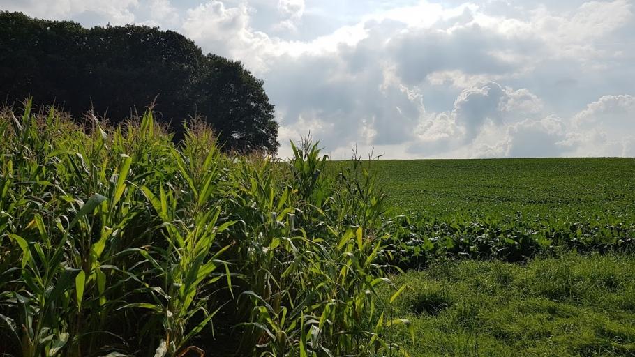 jouw-mening-over-gewasbeschermingsmiddelen