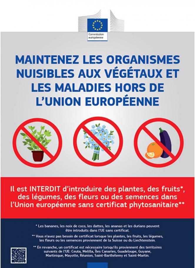 reizen-naar-het-buitenland-help-plantenziekten-in-belgie-te-voorkomen